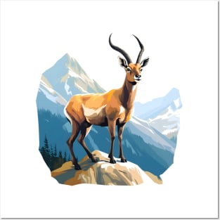 chamois Posters and Art